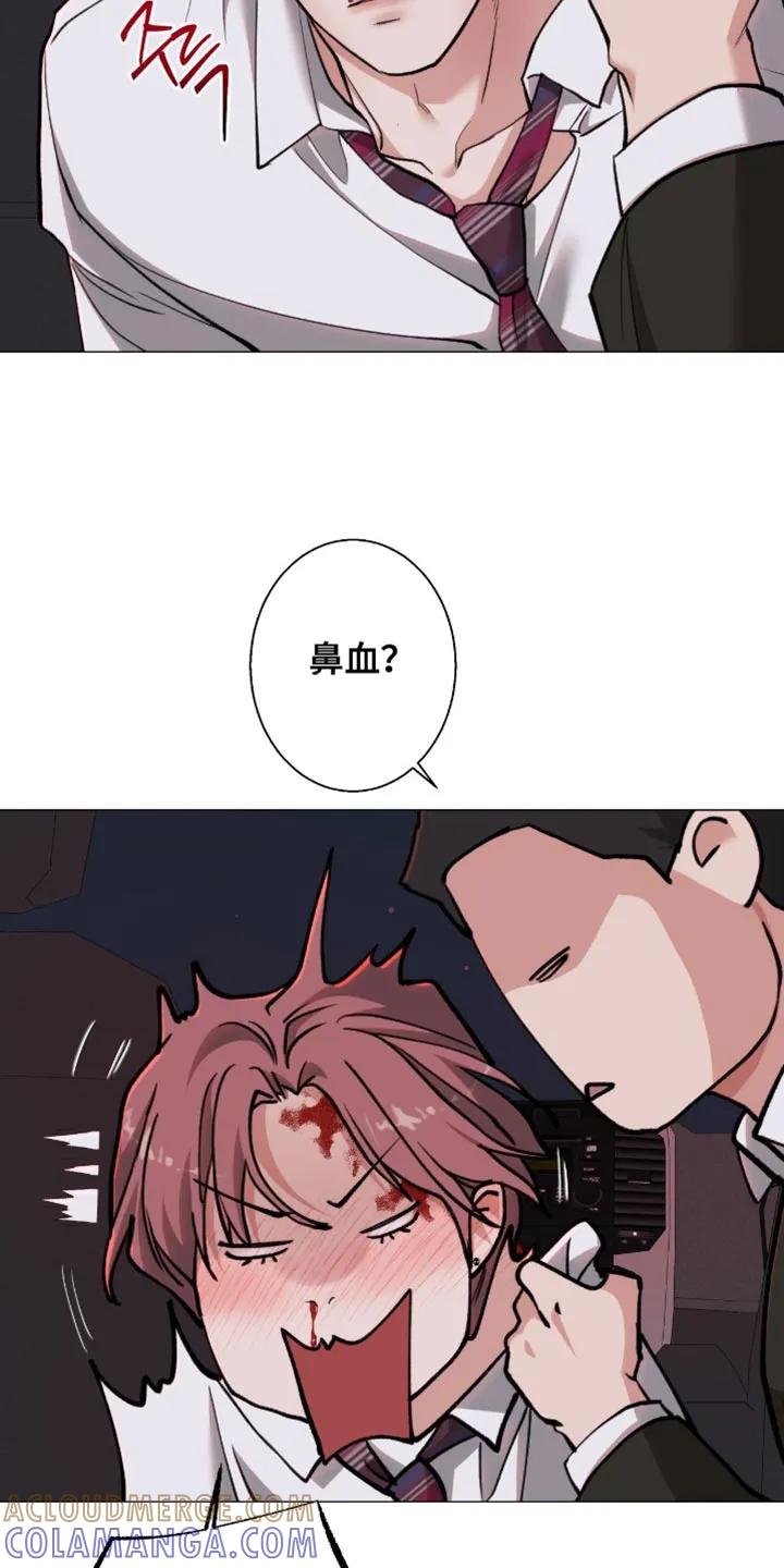 《海岛人生》第101章：【第二季】连我也被骗了 第13页