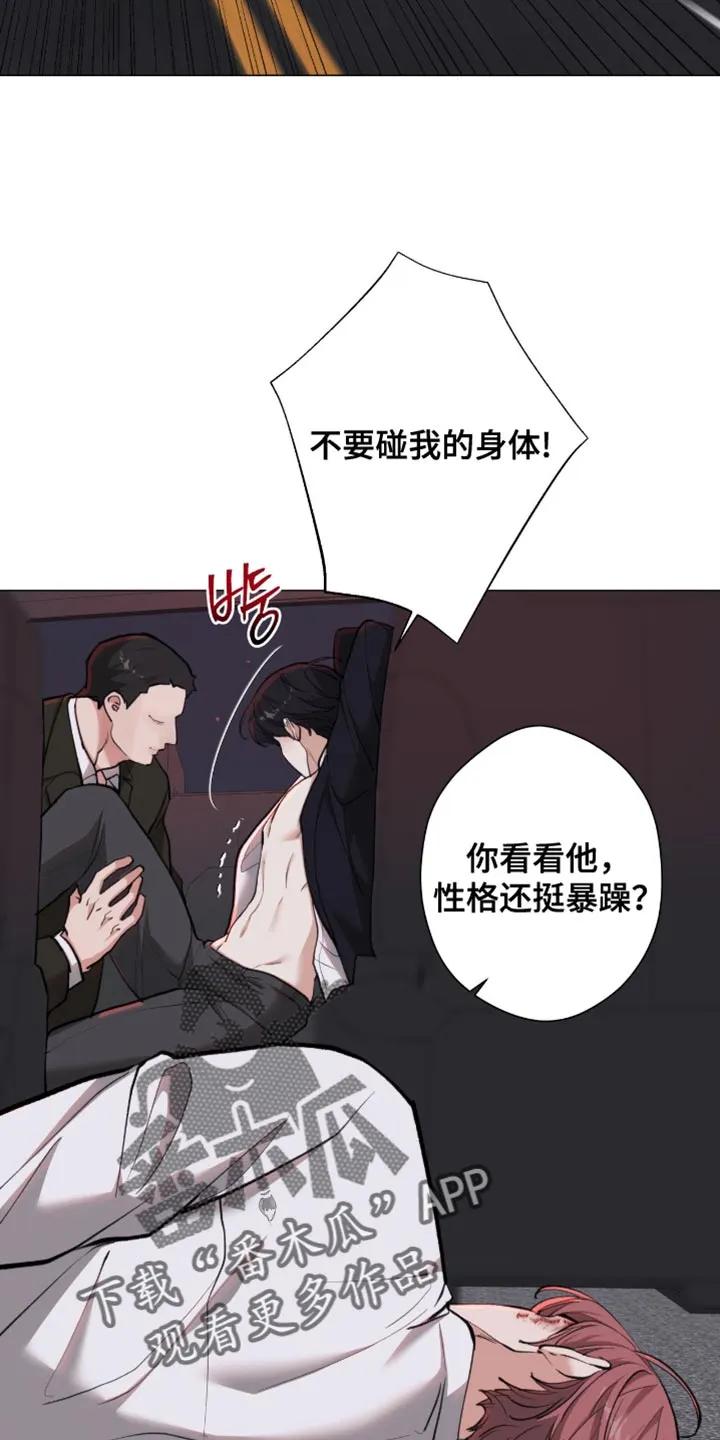 《海岛人生》第101章：【第二季】连我也被骗了 第2页
