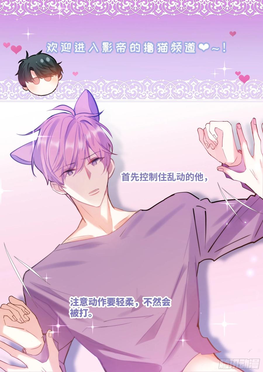 影帝X影帝 185.撸猫 第12页