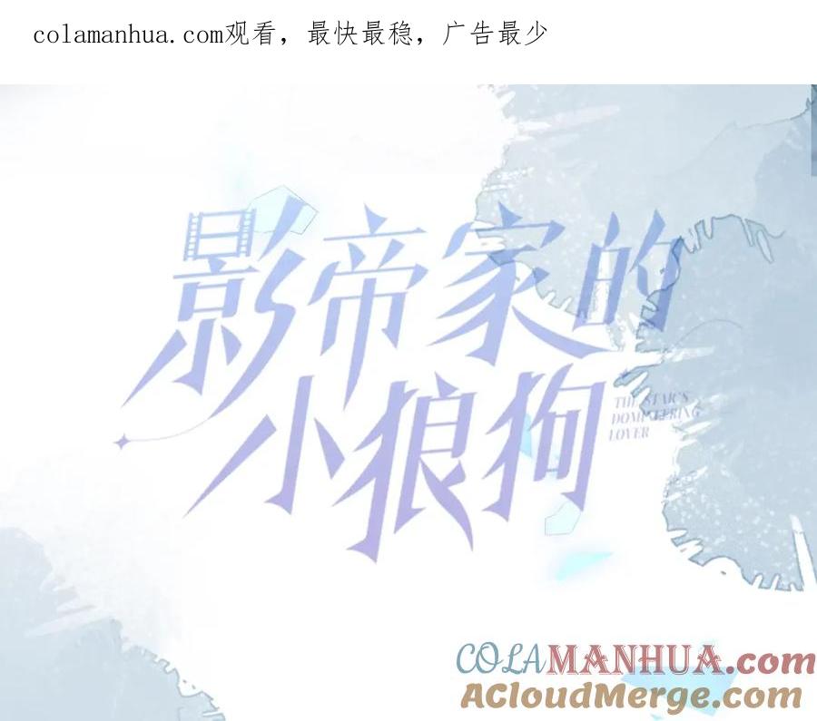 影帝家的小狼狗 - 人物揭秘！疯狗养弟×清冷哥哥 - 第1张图