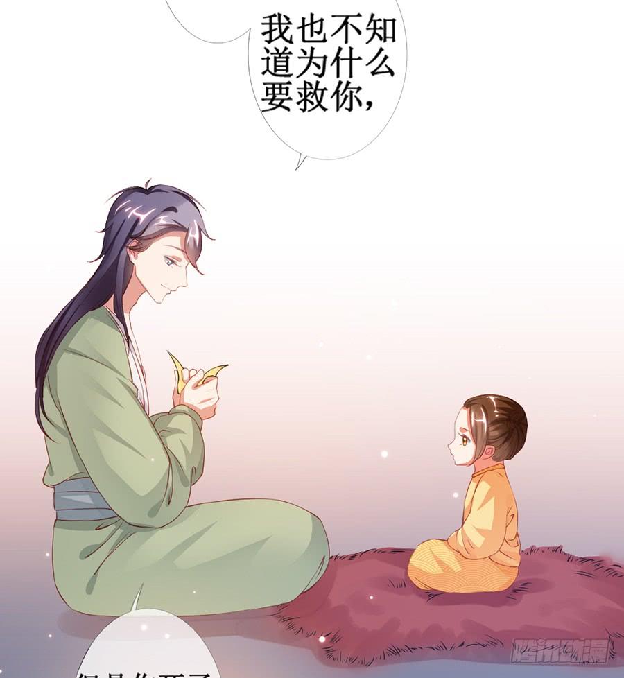 《东宫潜规则》突然就变深情档了 第25页