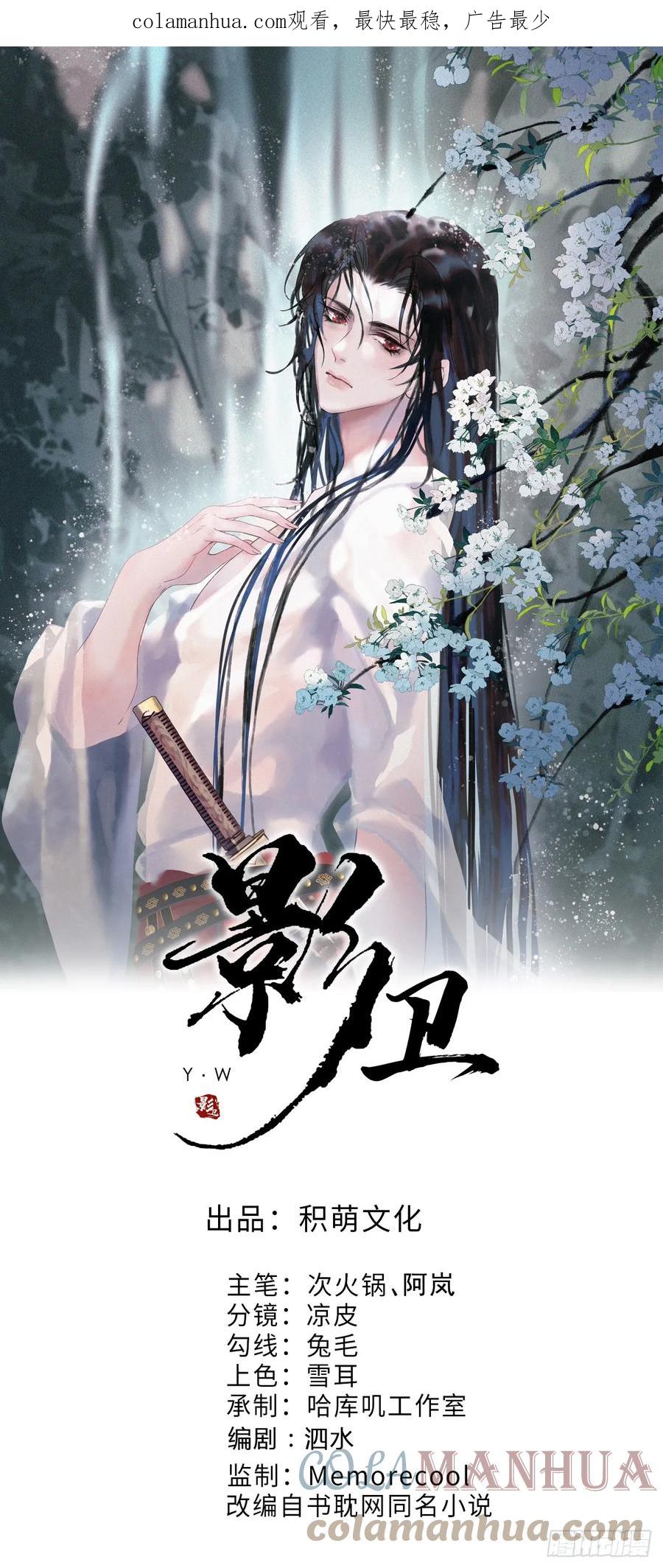 《影卫》第28话 没人比他更在乎主子 第1页