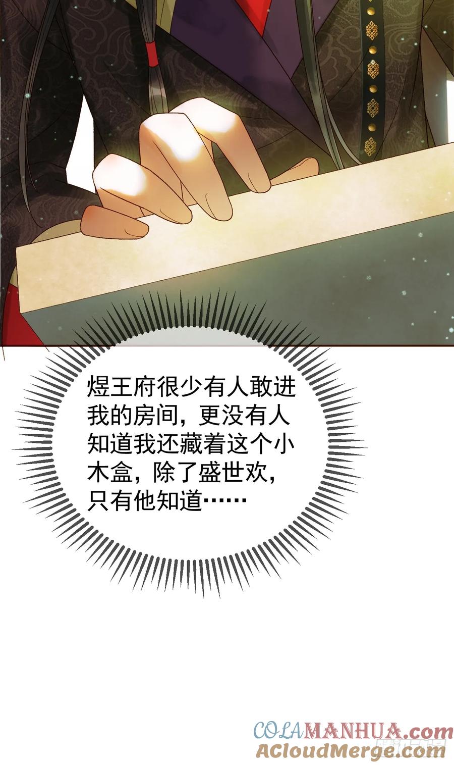 《影卫》第40话 凤钰，不见了 第21页