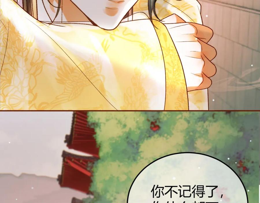 《影卫》第46话 你什么都不记得了 第12页
