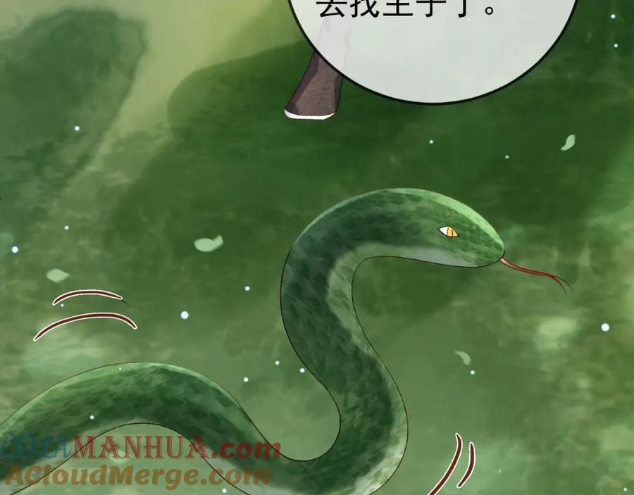 《影卫》第80话 祭祀大典 第61页