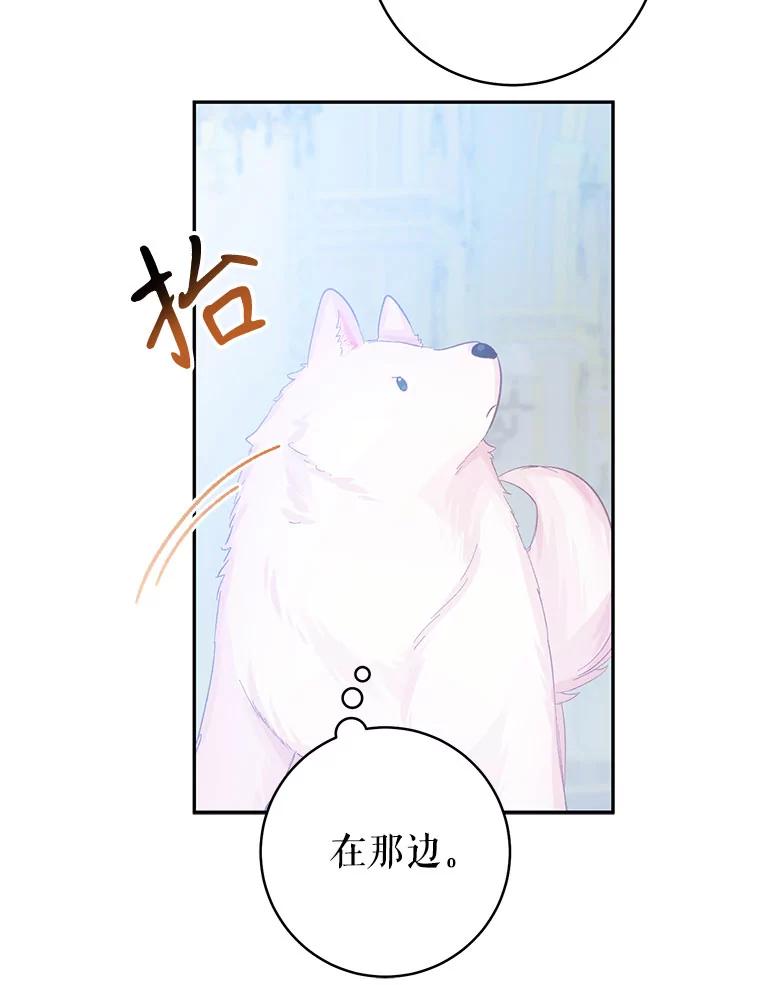 只需轻握我的手 15.雪白的狗 第67页