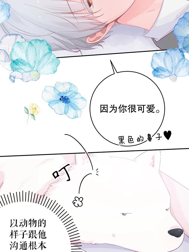 只需轻握我的手 15.雪白的狗 第52页