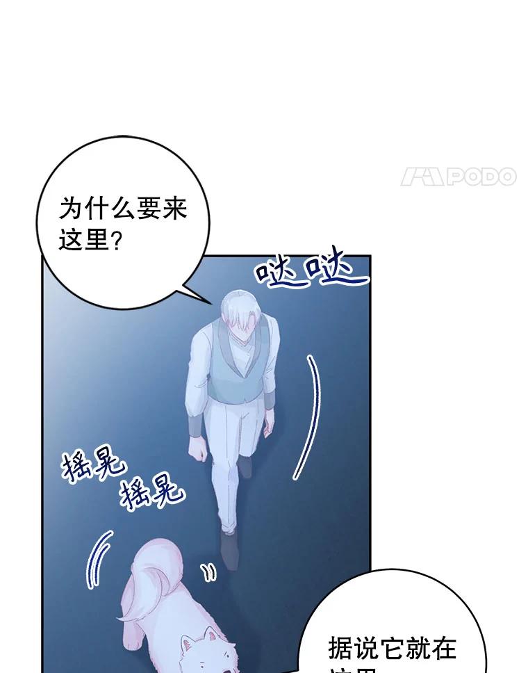 只需轻握我的手 15.雪白的狗 第68页