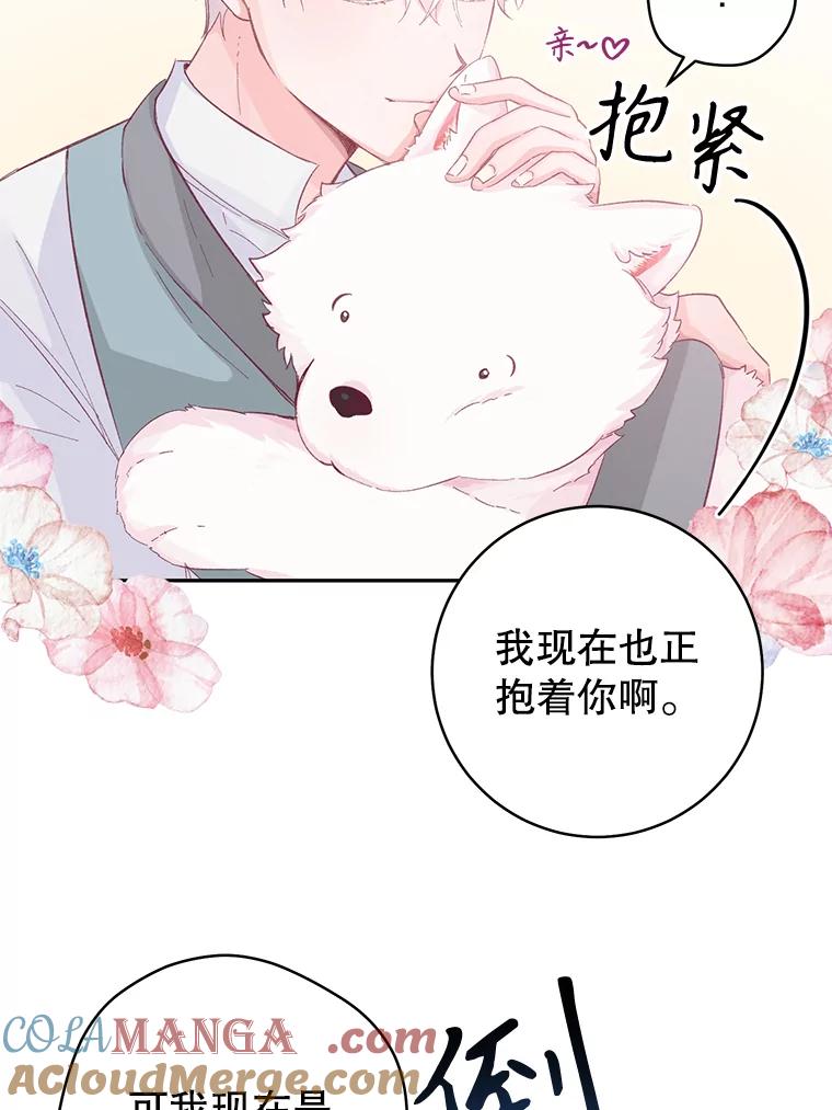 只需轻握我的手 15.雪白的狗 第49页