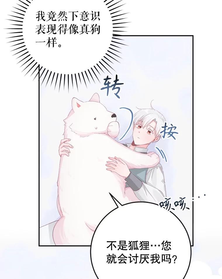 只需轻握我的手 15.雪白的狗 第40页