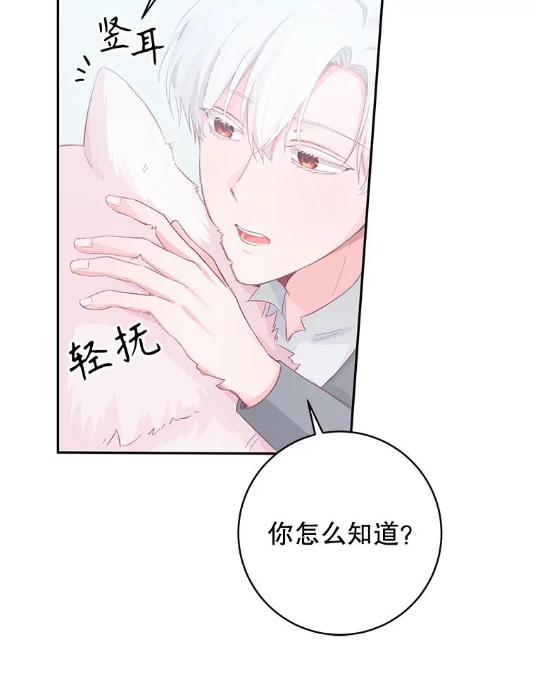 只需轻握我的手 15.雪白的狗 第46页