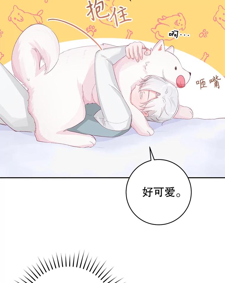 只需轻握我的手 15.雪白的狗 第39页
