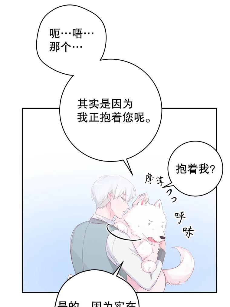 只需轻握我的手 15.雪白的狗 第47页