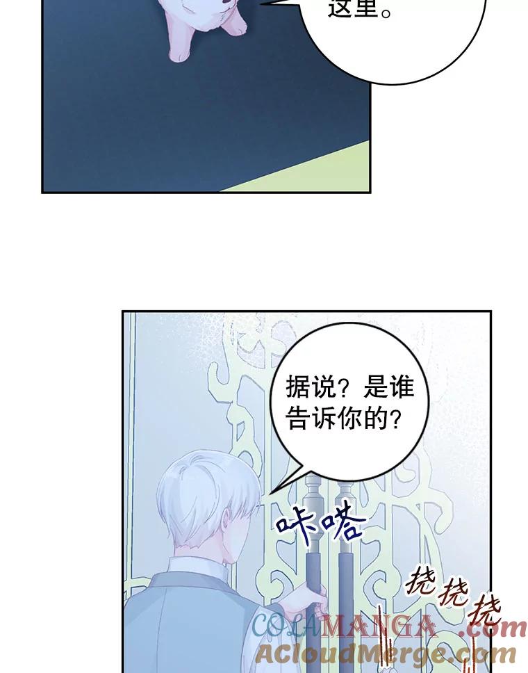只需轻握我的手 15.雪白的狗 第69页