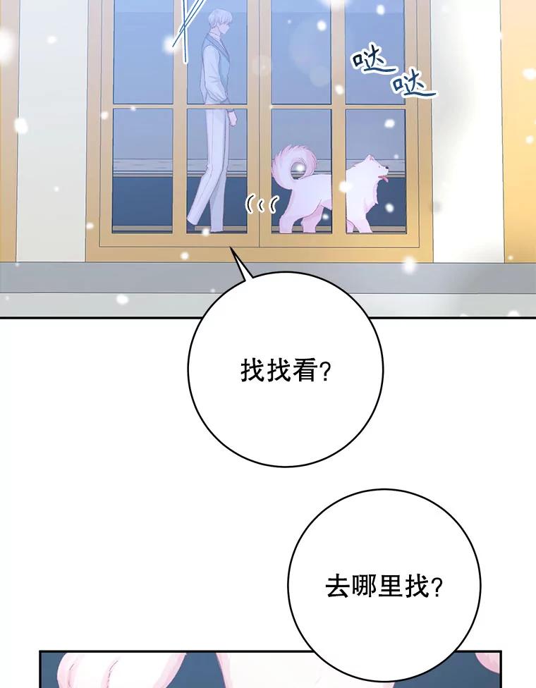 只需轻握我的手 15.雪白的狗 第63页