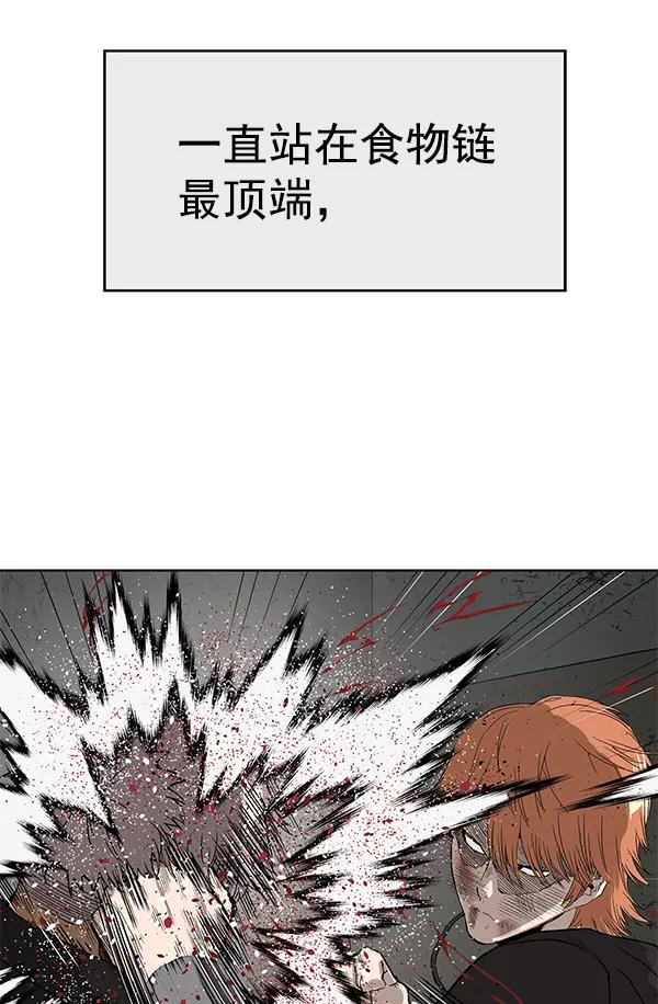 《英雄联萌》第173话 第118页