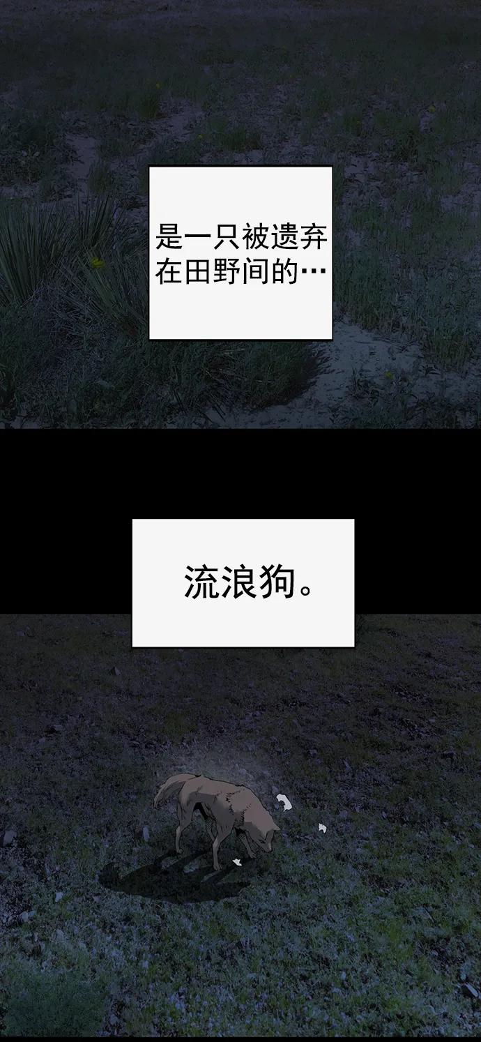 《英雄联萌》第257话 流浪狗（1） 第3页