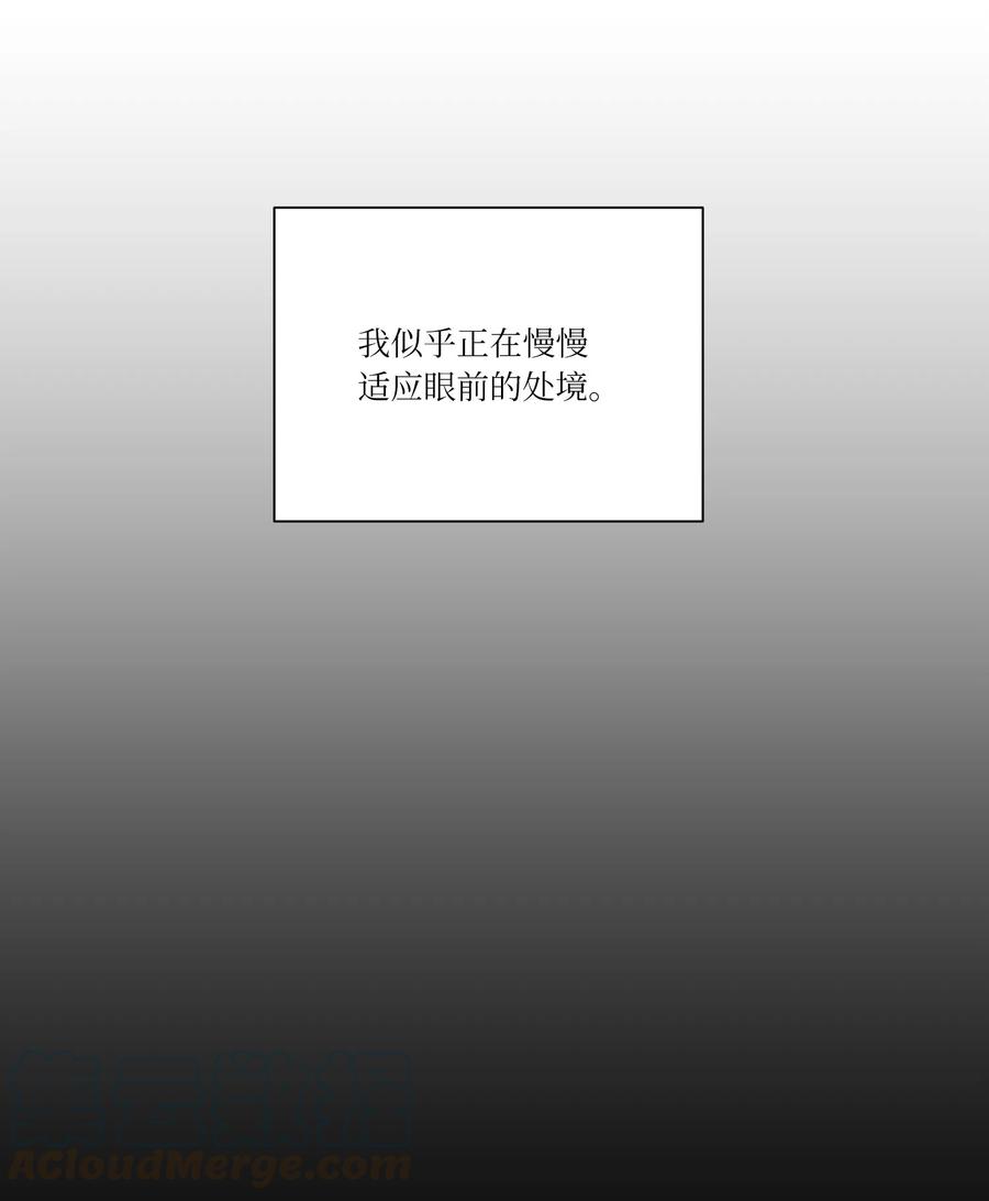 影子王冠 13 偏执 第19页