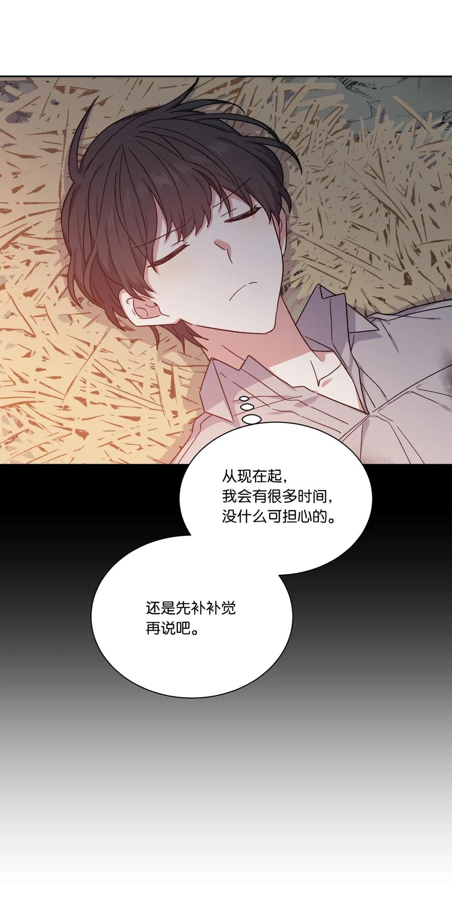 影子王冠 22 片刻的安稳 第29页