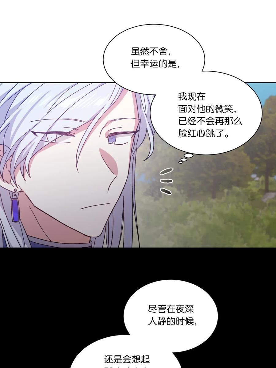 影子王冠 03 令人费解的提议 第29页