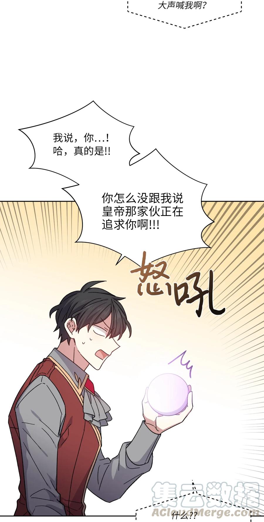 影子王冠 03 令人费解的提议 第19页