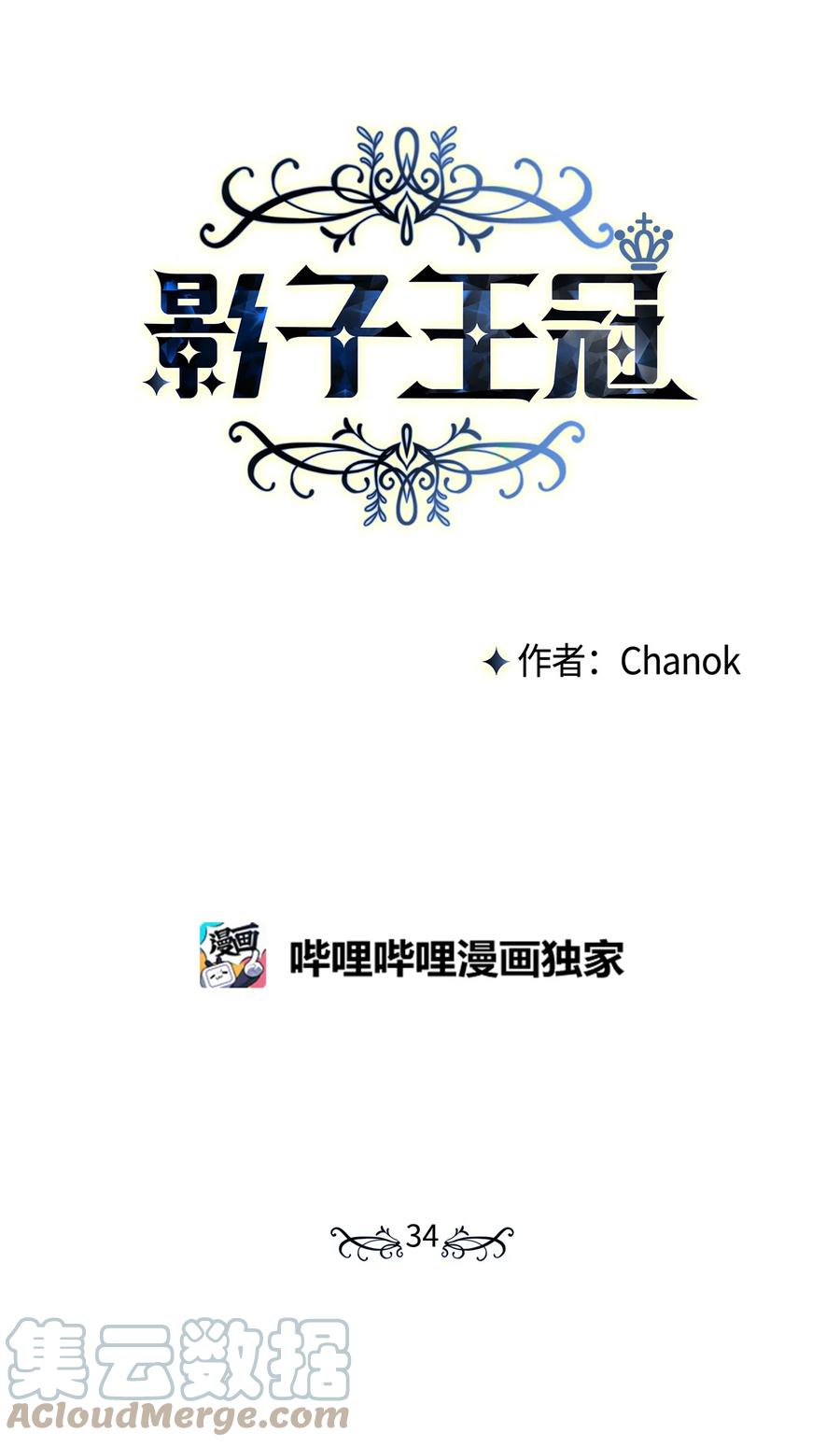 影子王冠 34 用名字换人生 第10页