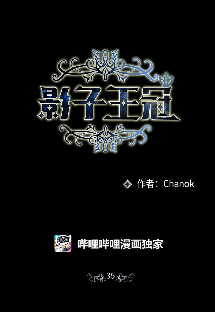 影子王冠 35 突生变故 第29页