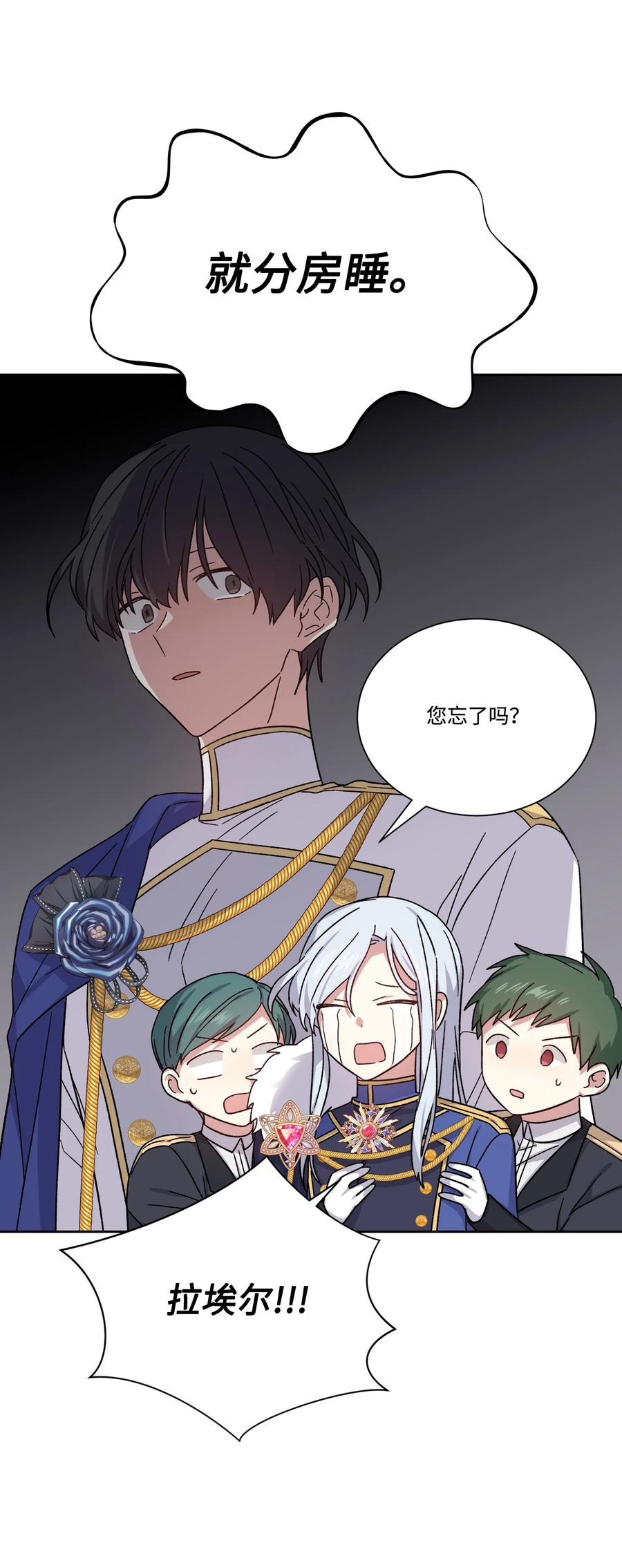 影子王冠 39 辣白菜事态 第29页