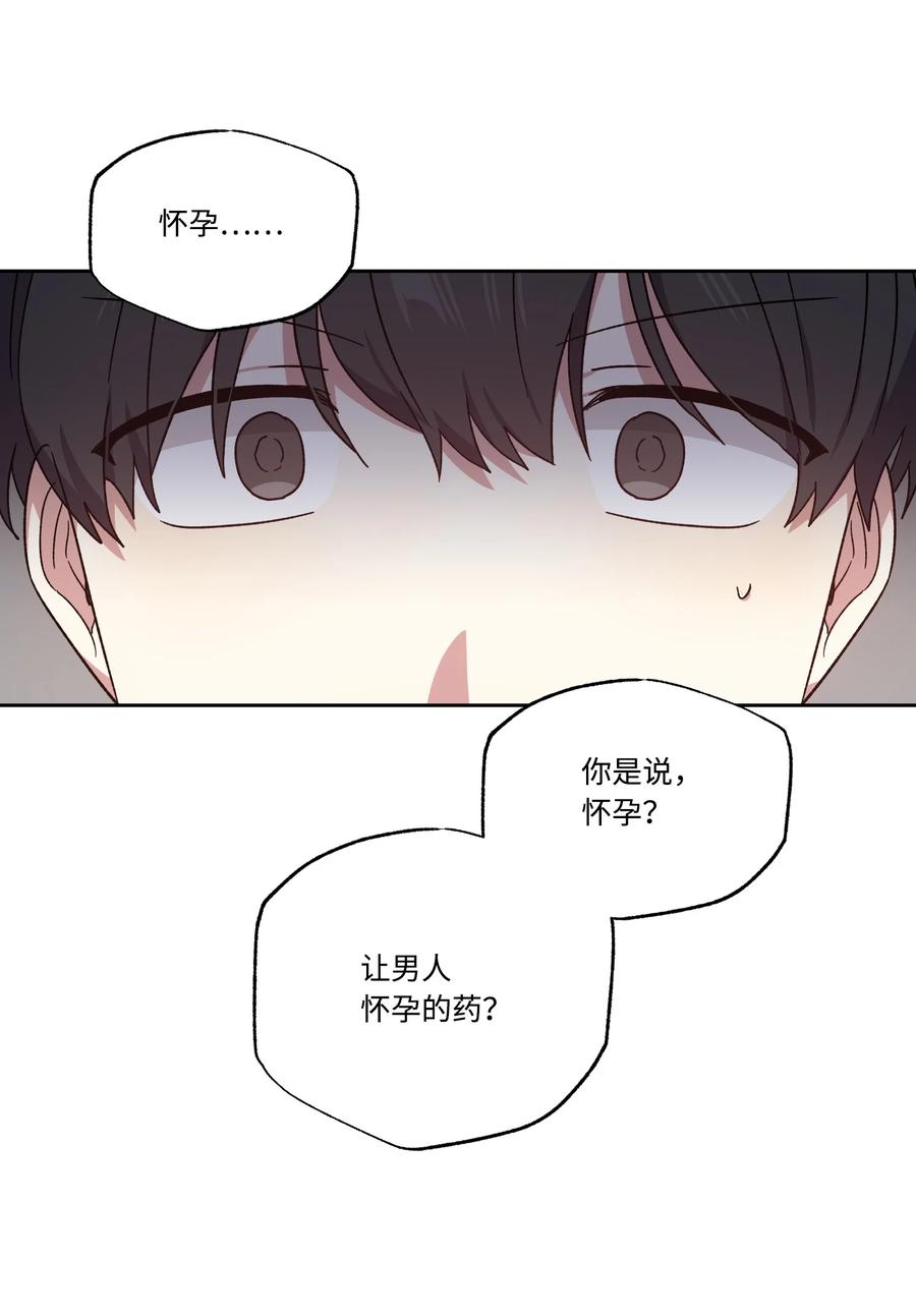 影子王冠 45 他逃他追 第30页