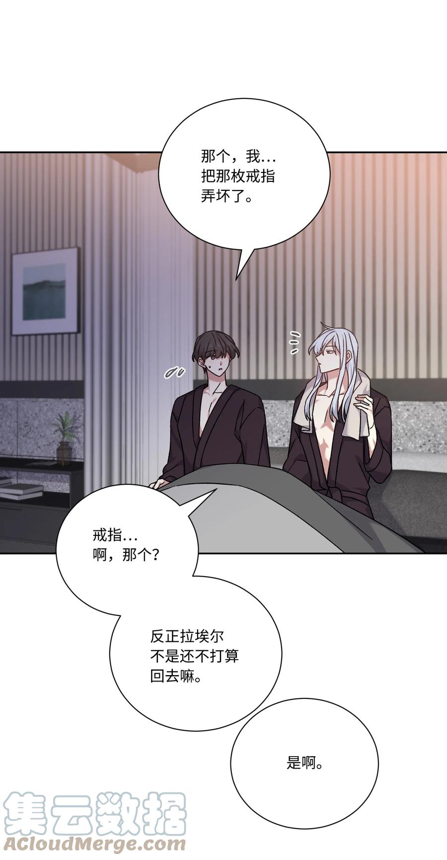 影子王冠 50 “凑合”过吧 第49页