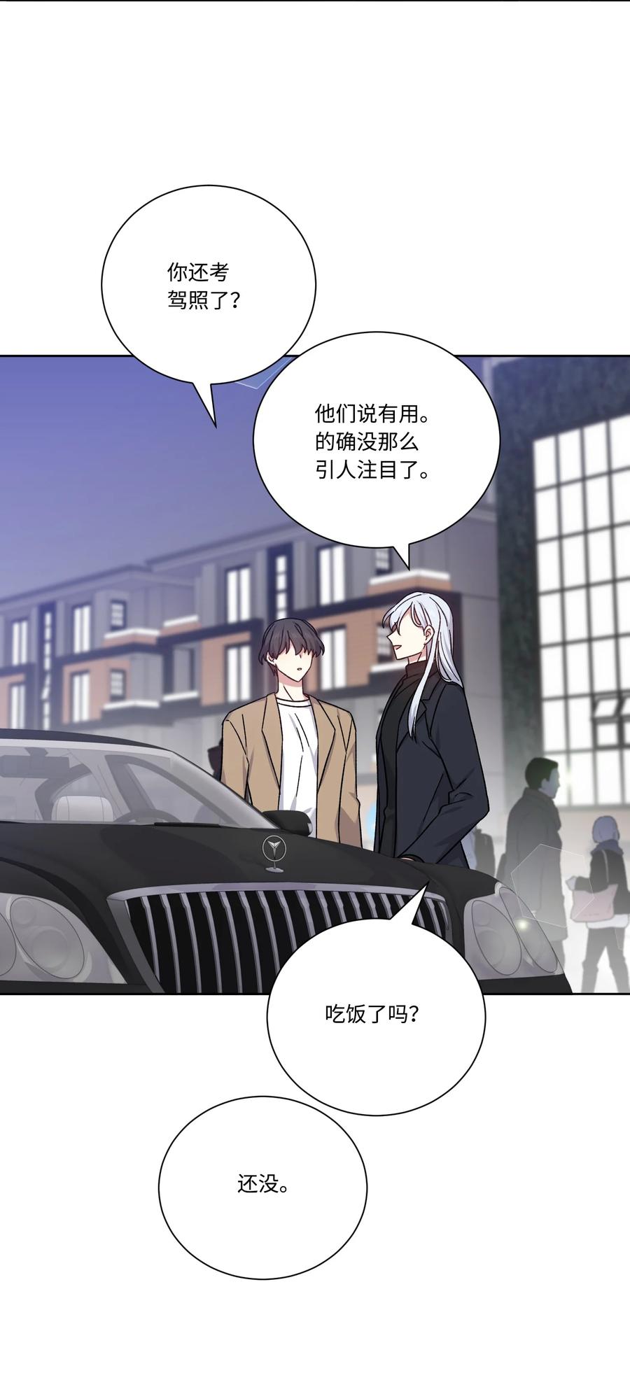 影子王冠 50 “凑合”过吧 第29页
