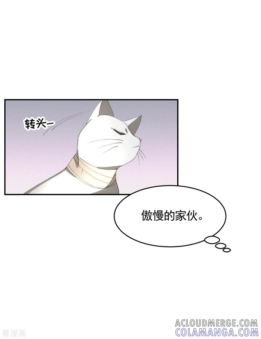 《影子侦探》第16话 寻找目击者 第34页