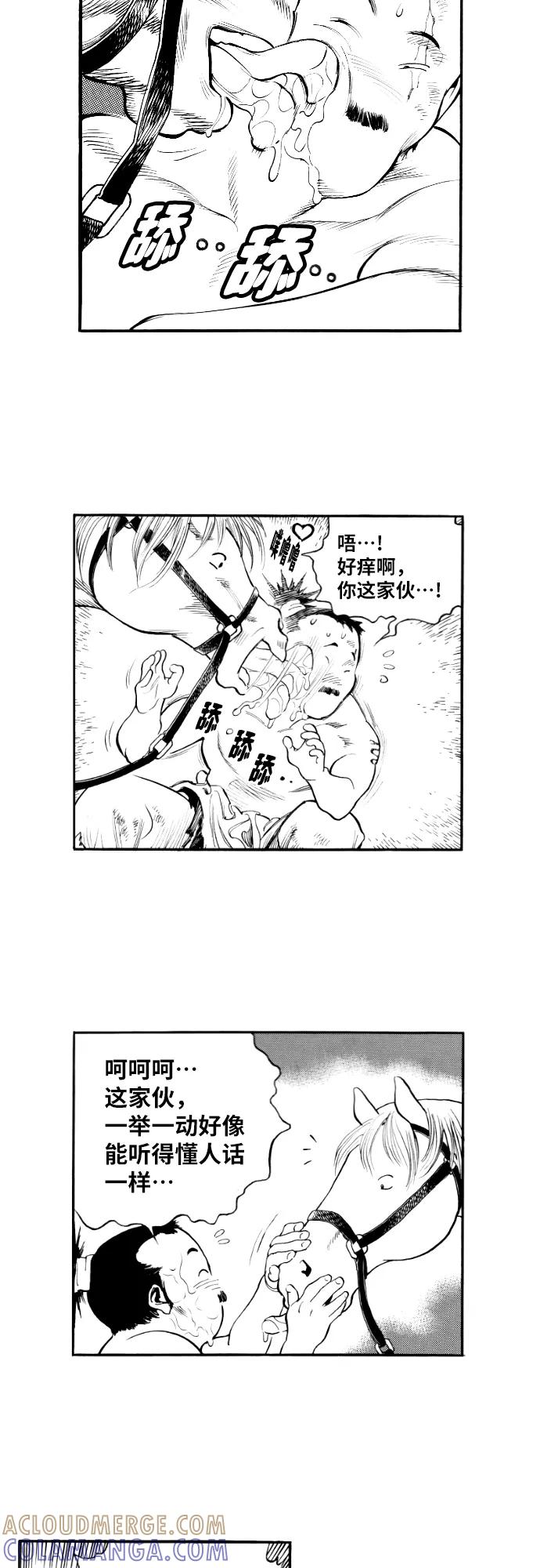 《龙飞不败》第147话 第49页