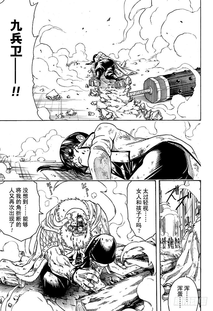 15.jpg