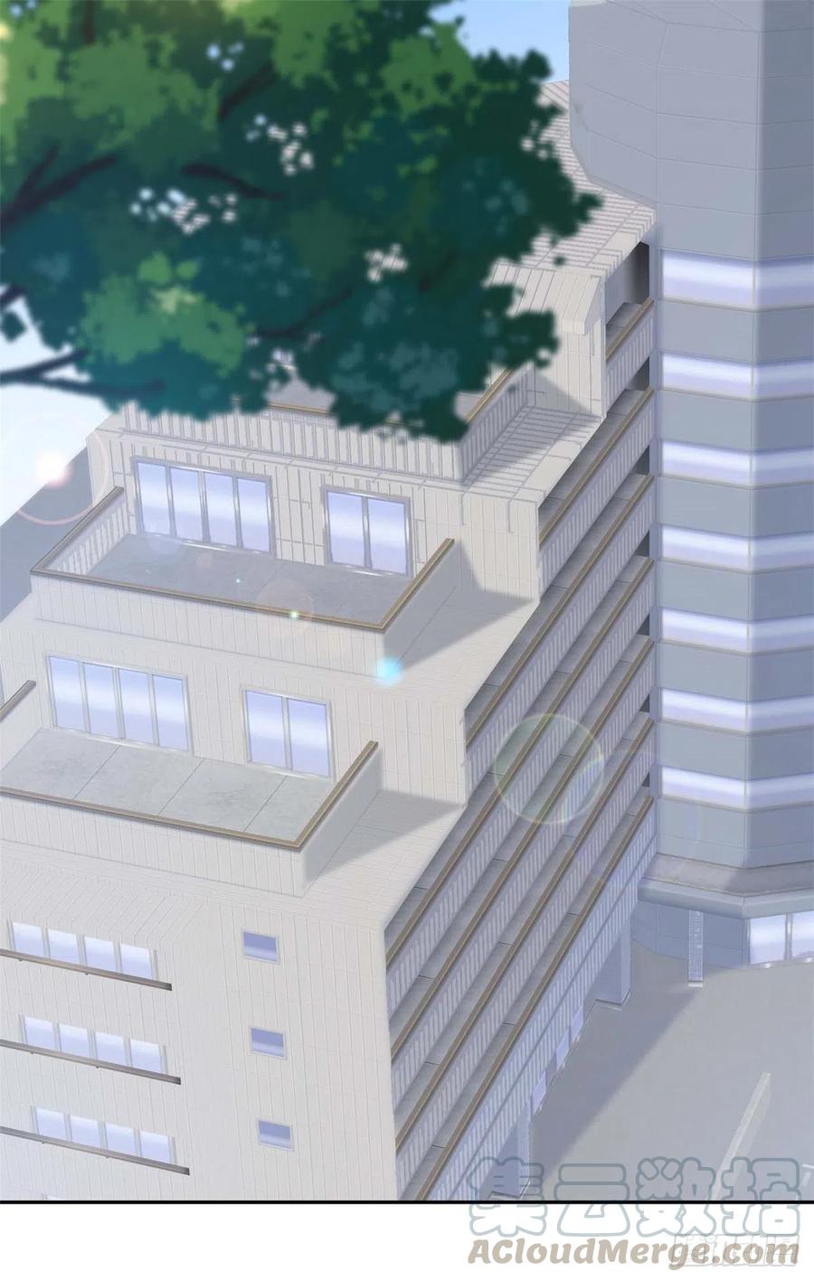 隐婚挚爱 第74话 植物人！ 第2页