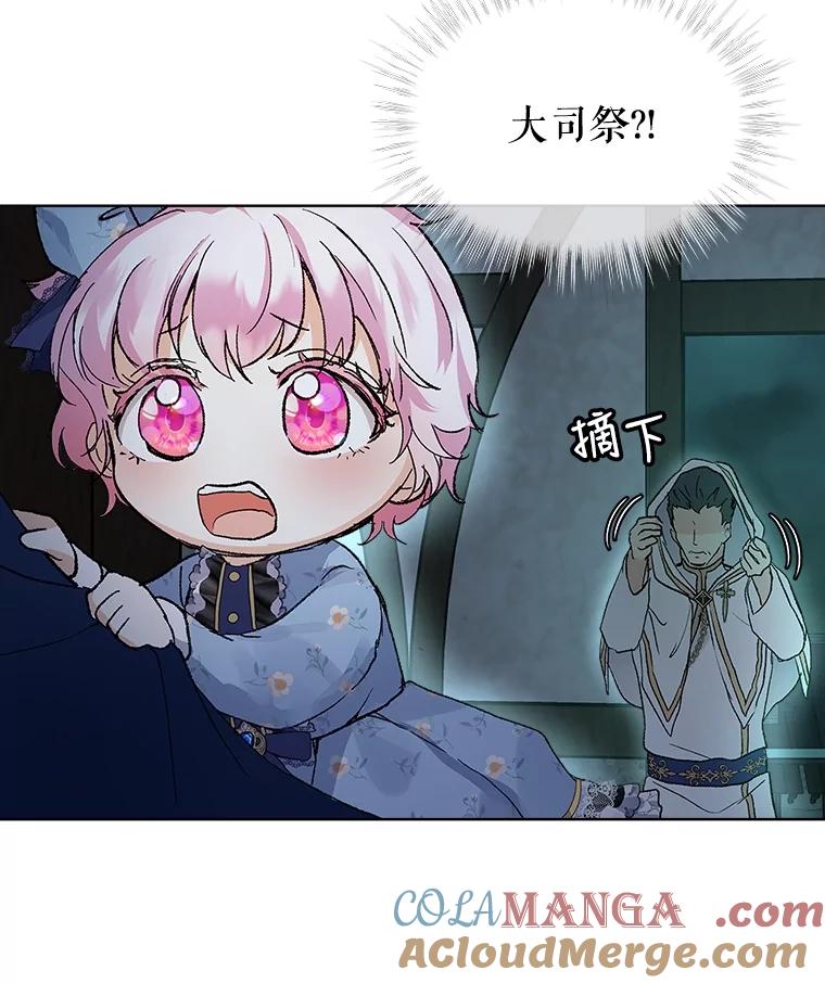 重生为神兽宝宝 - 12.大司祭 - 第97张图