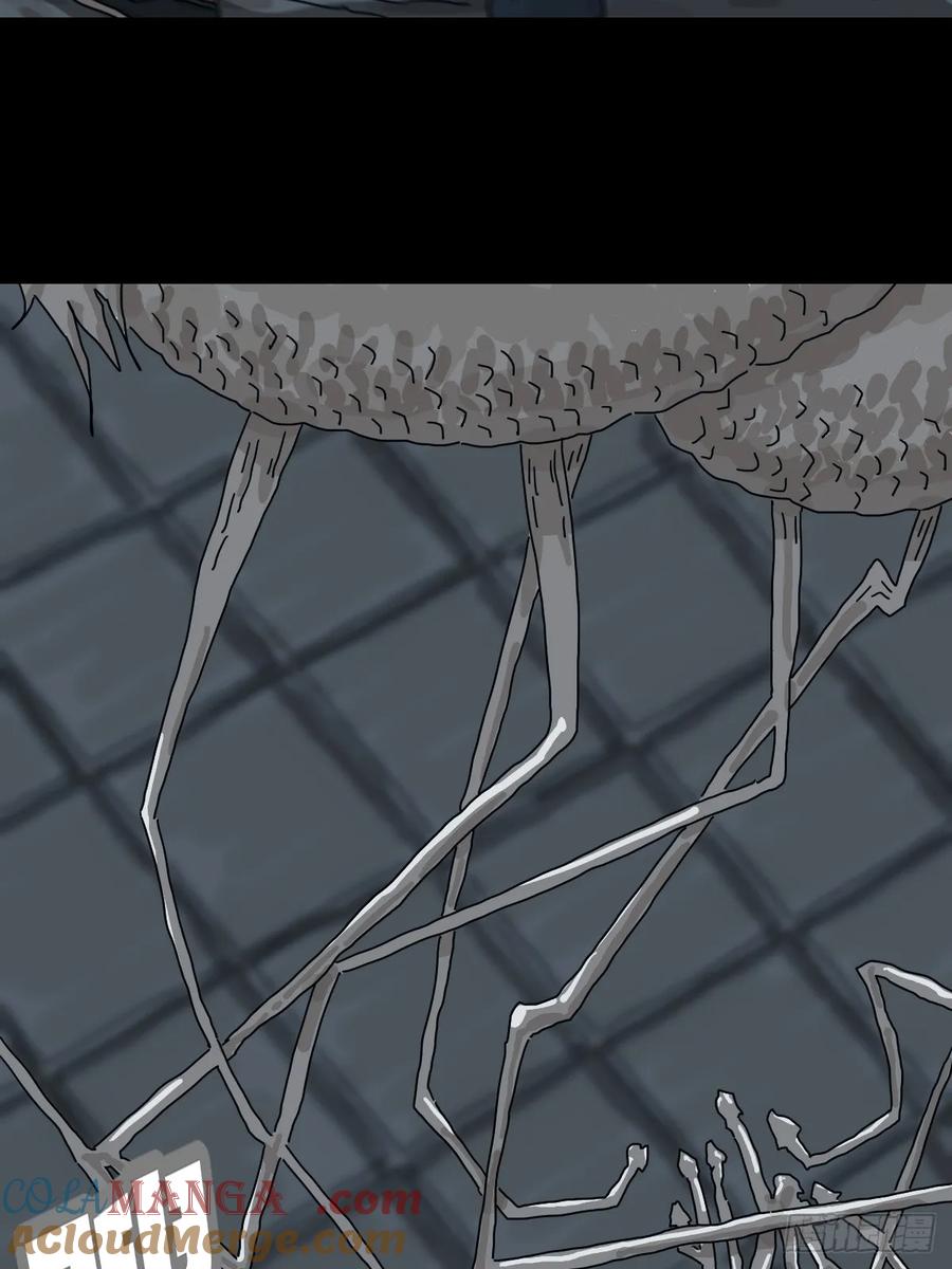 山傀：山神诡录 - 灵堂诡事（十九） - 第40张图