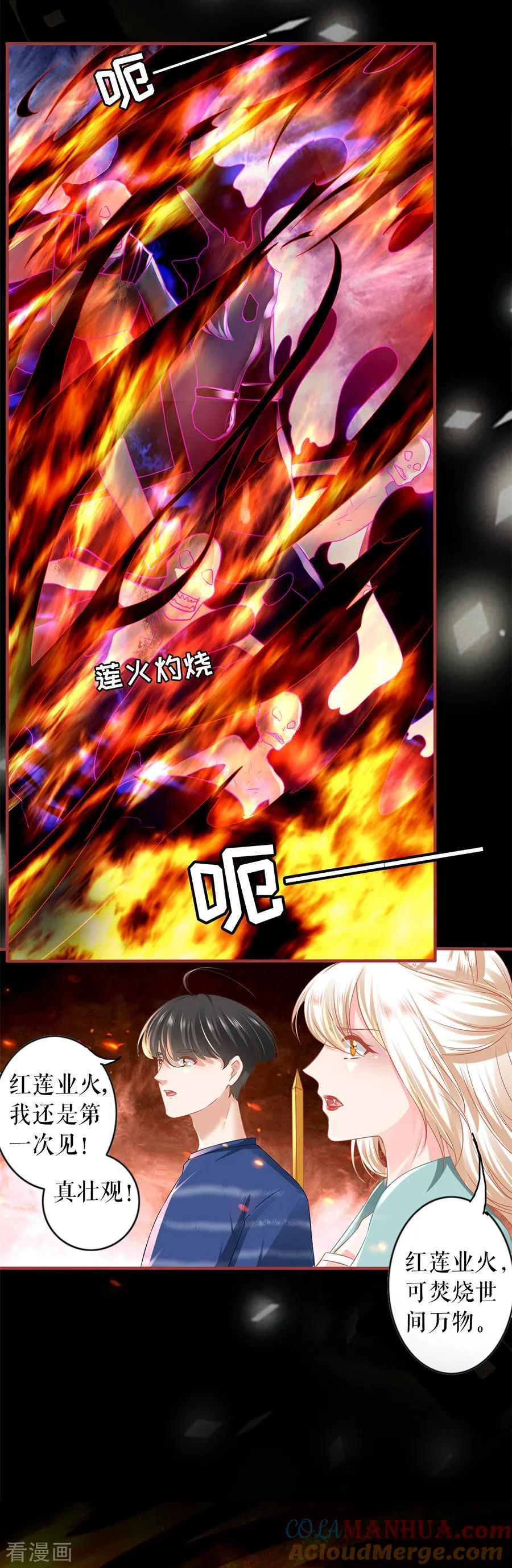《阴阳界的新娘》第203话 第11页