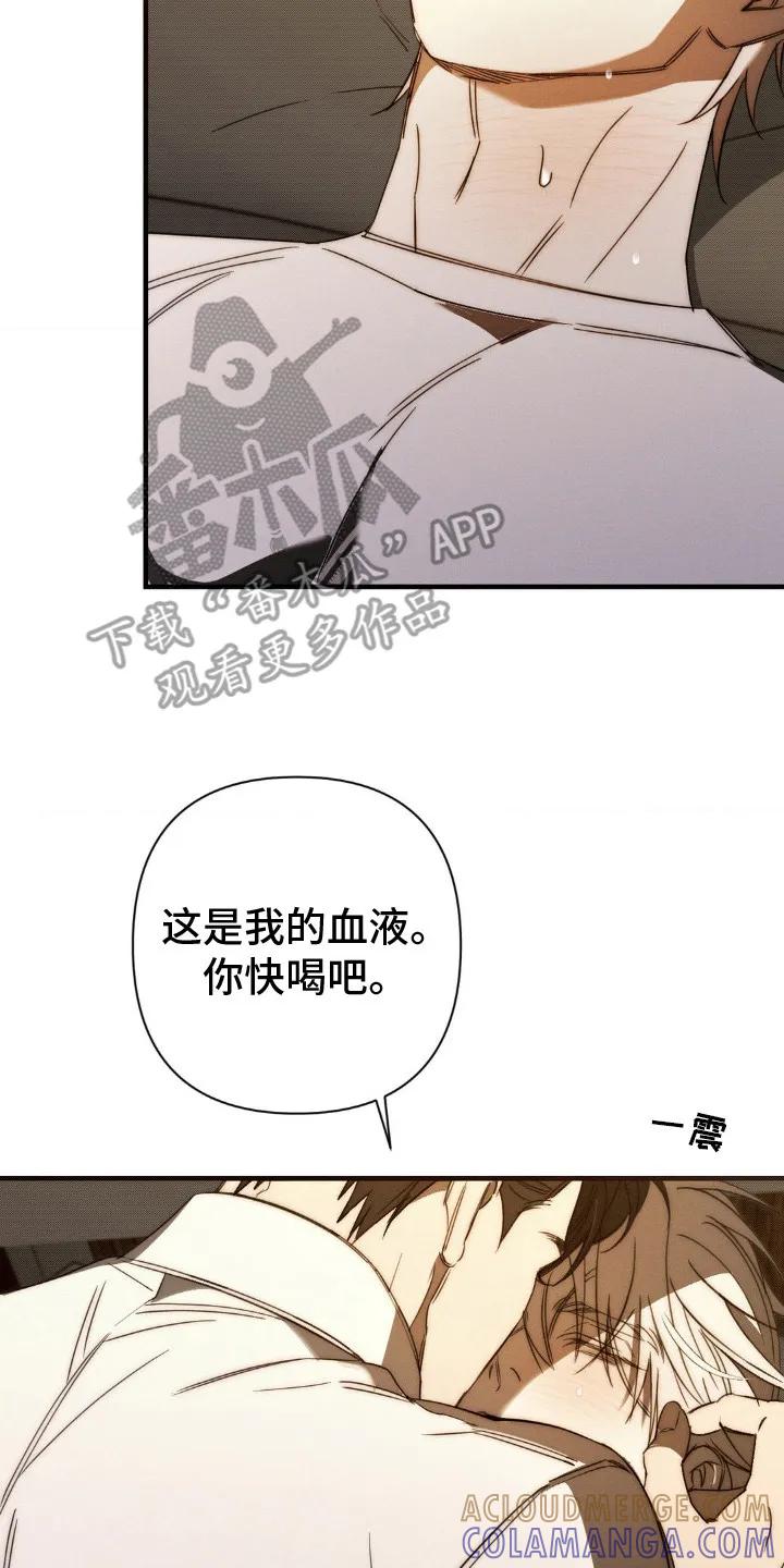 《属于你的时间》第18章：情感累积 第17页