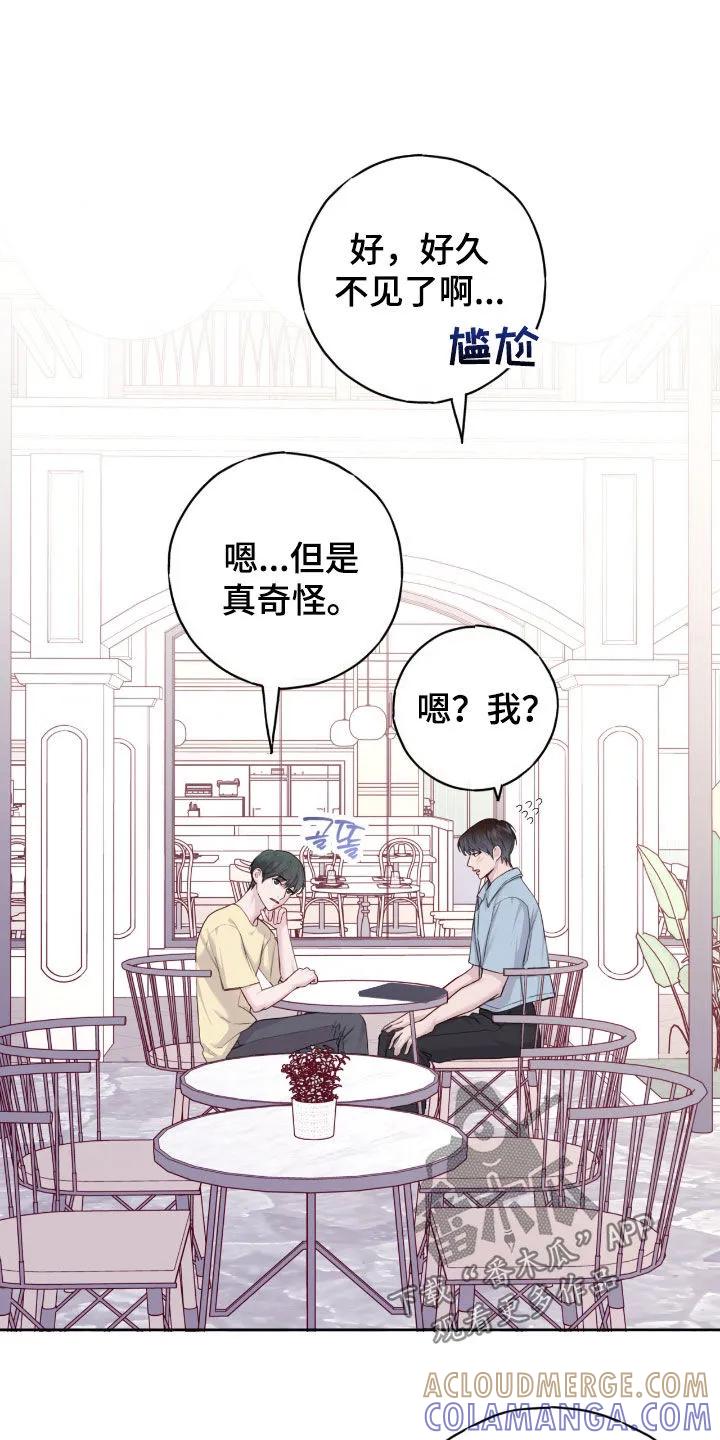 《幻想烛火》第98章：【第二季】提醒 第5页