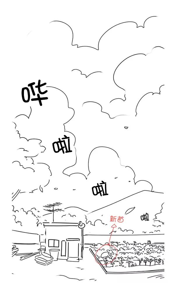 《种植部神秘日志》[免费] 后记 第10页