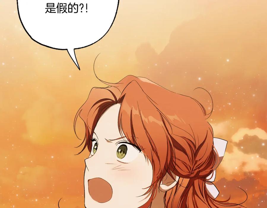 一切都是错觉 第98话 这只是错觉 第164页