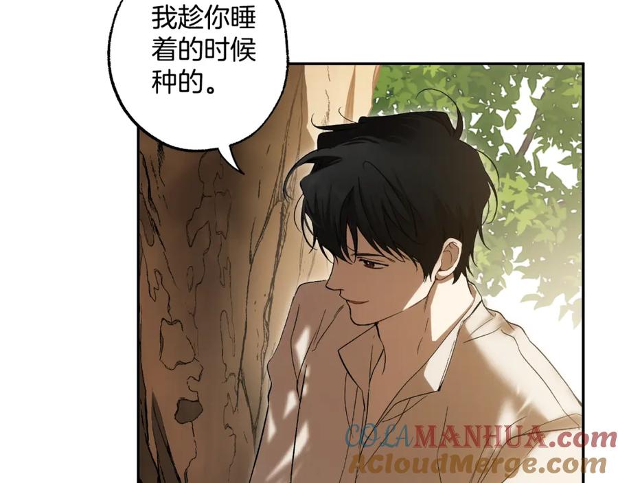 一切都是错觉 第114话 树上求婚 第93页
