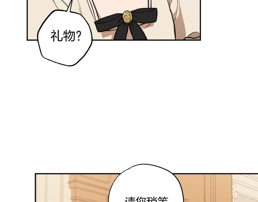 一切都是错觉 第117话 英雄一样帅气 第147页