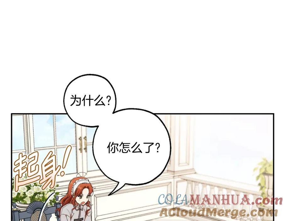 一切都是错觉 第122话 被戏弄了！ 第41页