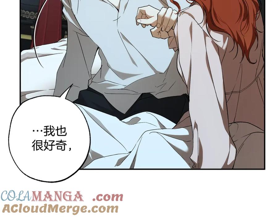 一切都是错觉 第125话 恭喜你！ 第20页