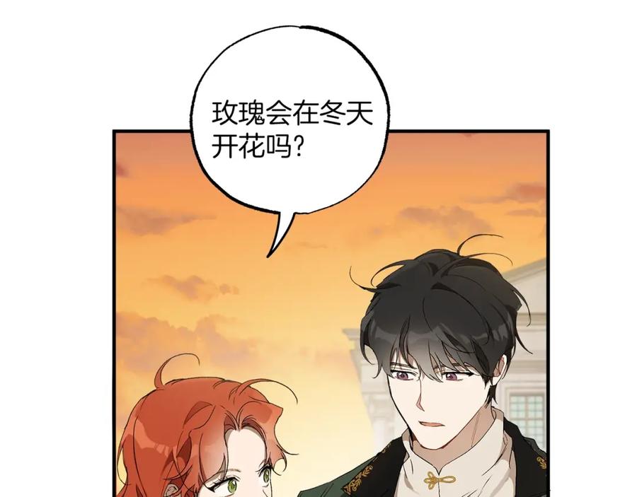 一切都是错觉 第47话 玫瑰 第131页