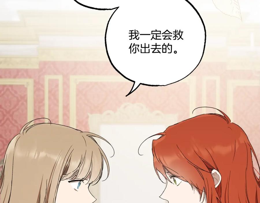 一切都是错觉 第49话 武器 第151页