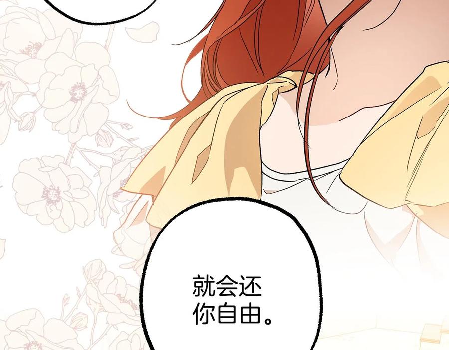 一切都是错觉 第65话 铲除障碍 第135页