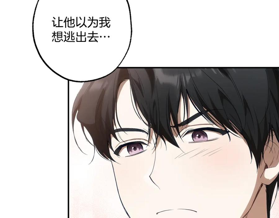 一切都是错觉 第84话 假装决裂 第84页